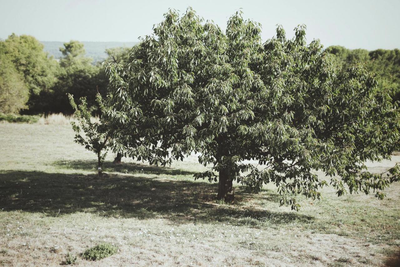 ホテル Domaine De Carraire エクス＝アン＝プロヴァンス エクステリア 写真